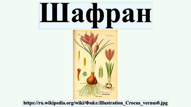 Шафран