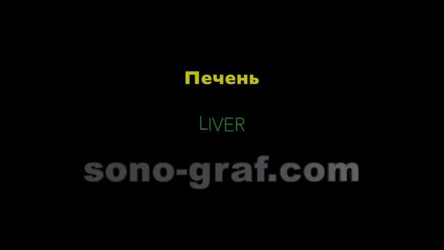 Сонография - Сладж желчного пузыря смотреть онлайн