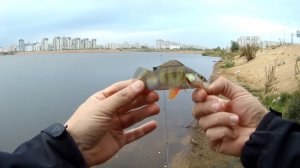 #73 Мормышинг | Немного «ZANMU Slow»|