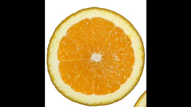 Опыт. Продольный и поперечный разрез.