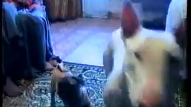 Афонтово: В Красноярск привезли первого мопса_1994 год смотреть онлайн