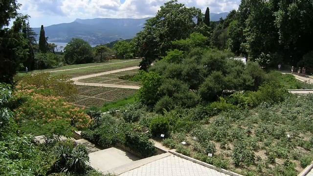 Никитский ботанический сад.mp4 смотреть онлайн