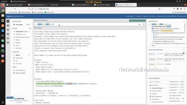 Cisco NX-OS API Python Automation  Part6 | Parse Nexus API CLI ASCII show command Output using Rege