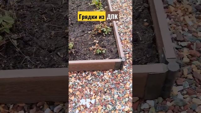 Грядки из ДПК #дача365 #diy #дпк смотреть онлайн