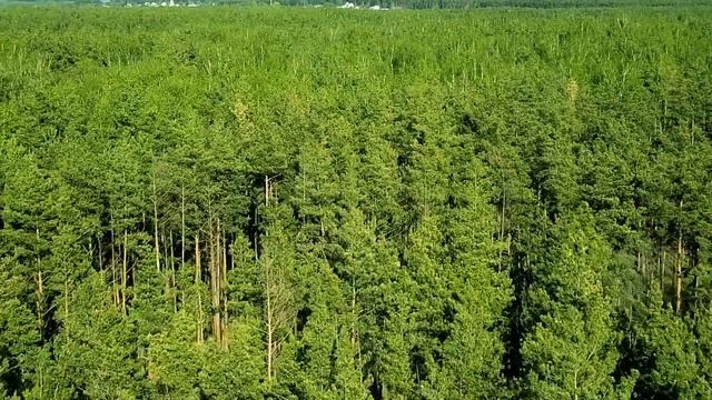 Карамышево (Липецкая область) смотреть онлайн