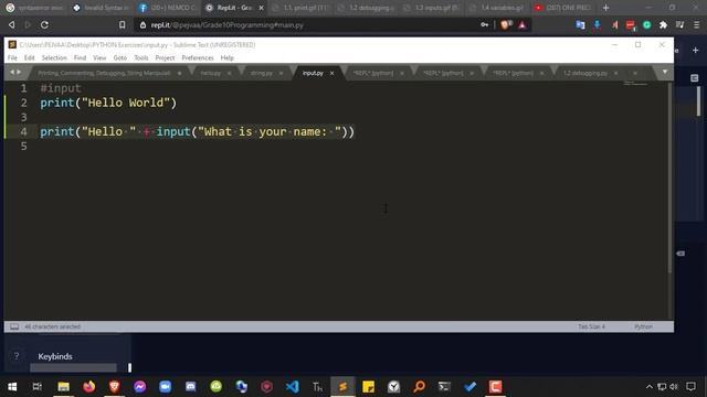 06 - Input in Python смотреть онлайн