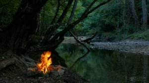 Обрезка черноплодной рябины весной