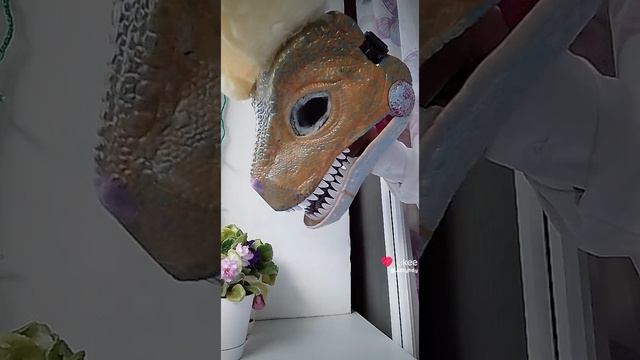 1000034264.mp4 смотреть онлайн