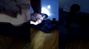 Не отжимает стиральная машинка самсунг