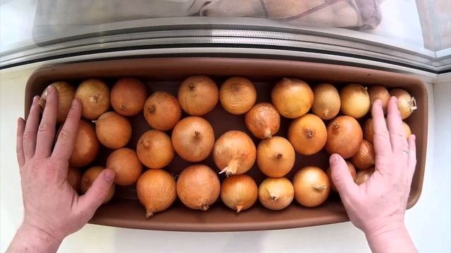 От урожая не будет отбоя — замочите лук в соде смотреть онлайн