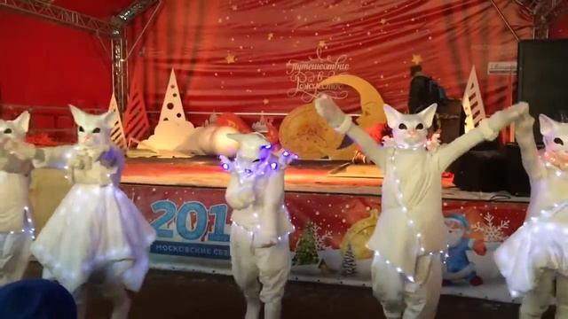 Путешествие в Рождество (танец кошек) смотреть онлайн