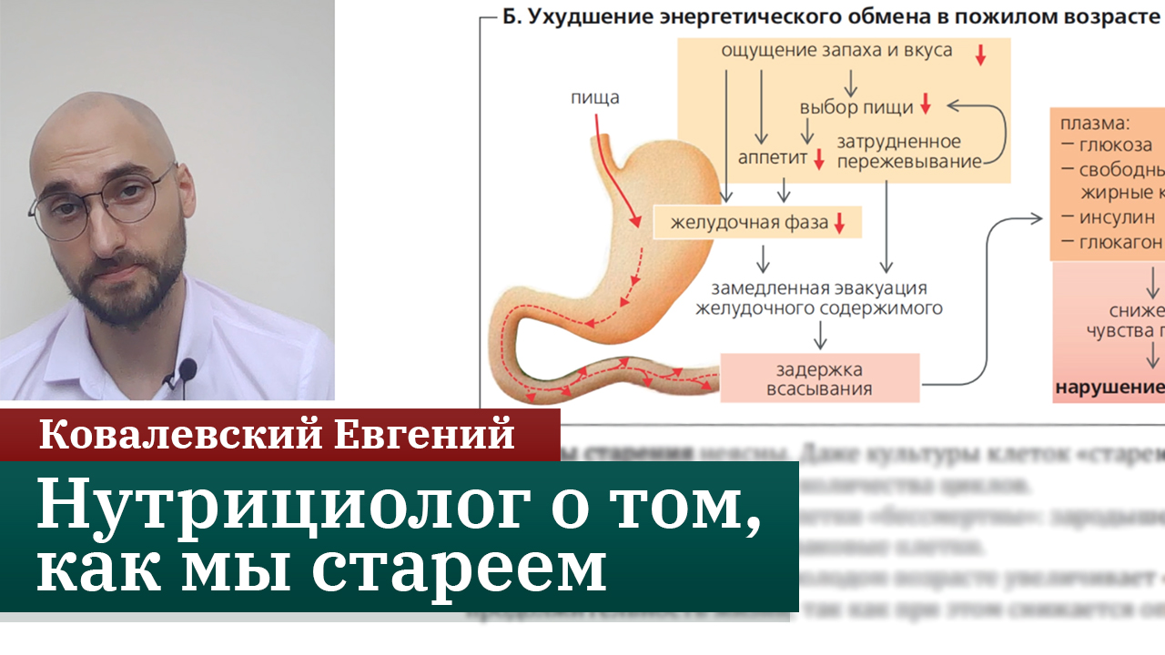 Как мы стареем? Онлайн-курс по нутрициологии. Ковалевский Евгений смотреть онлайн
