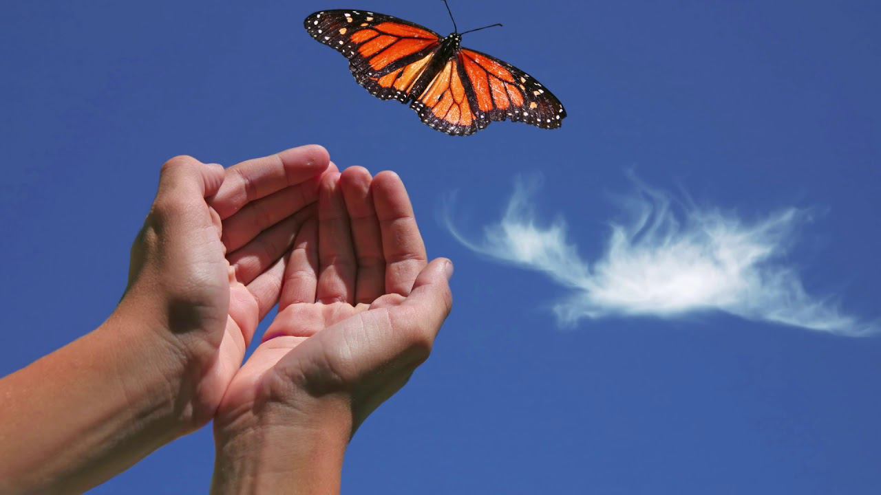 Как достичь цели| Работа с целями| Достижение целей смотреть онлайн