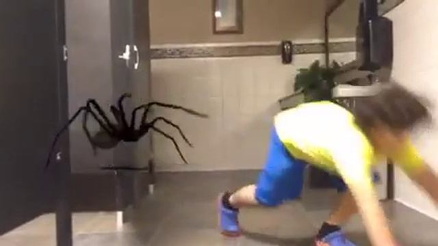 SPIDER-ATTACK смотреть онлайн
