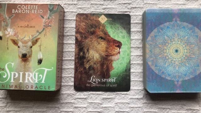 The Spirit Animal Oracle 37/68 Lion Spirit guide book audio description смотреть онлайн