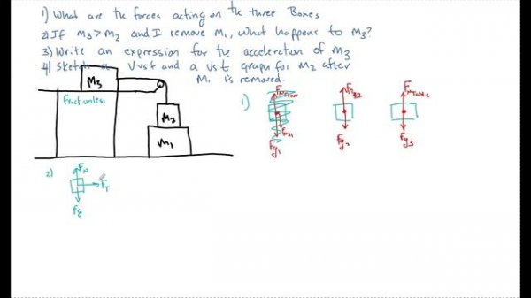 Newton's 2nd Law AP Physics 1 Example With Masses & A Pulley