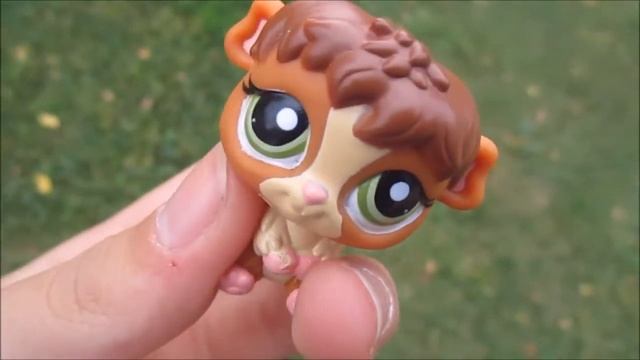 Встречка + обмен смотреть онлайн