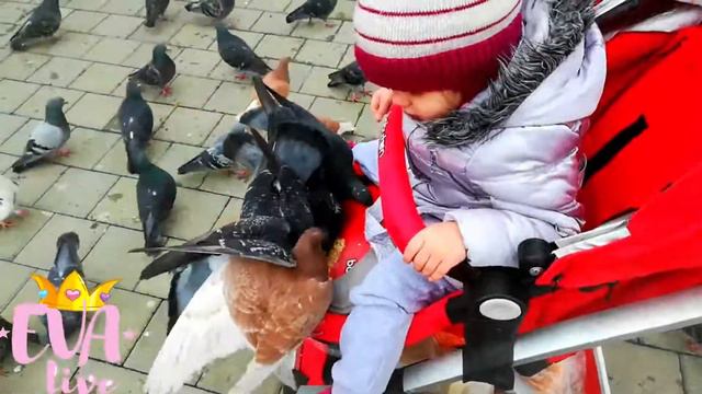 Мы шли на ПЛОЩАДКУ, а ТАМ... АМ НЯМ видео ДЛЯ ДЕТЕЙ 1 2 3 4 смотреть онлайн