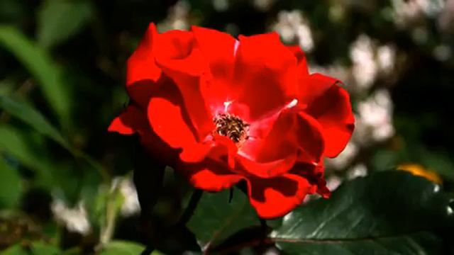 Пять просто лучших новинок музыки и видео бесплатно смотреть онлайн