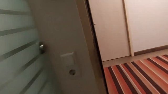 Из Стамбула в Амстердам ко мне прилетела моя подруга Лена