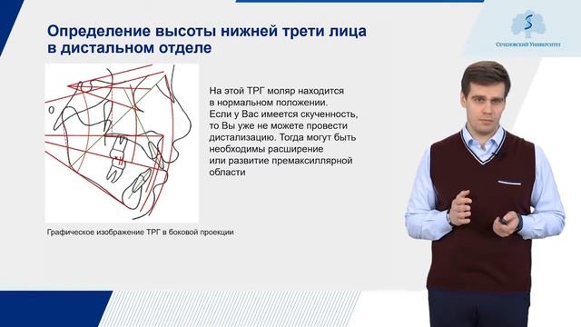 3.1 Определение высоты нижней трети лица. Варианты соотношения. Возможные тактики коррекции смотреть онлайн
