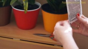 Гранулы от муравьев и почвенных мушек Гром