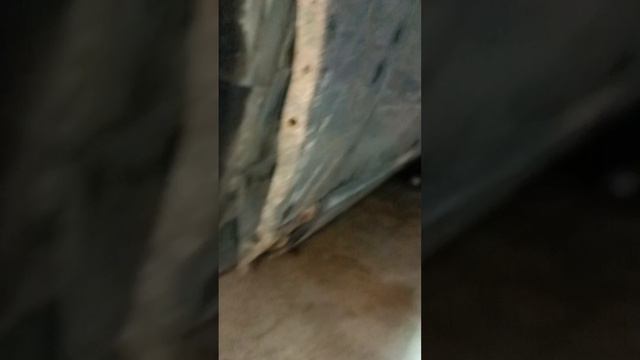 Виталя Сам по Себе