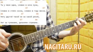 Легкая песня! Юрий Визбор - "Ты у меня одна". Аккорды в Am, слова, разбор, на гитаре
