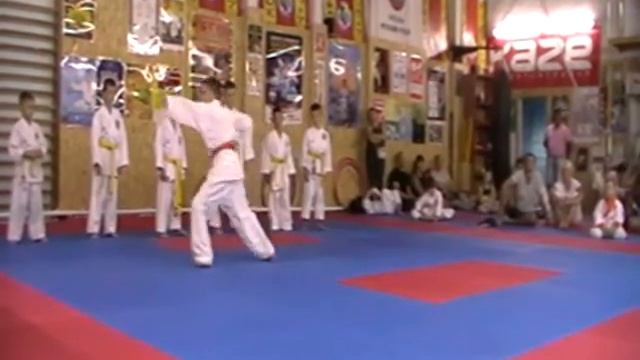 Аттестационный экзамен 31.07.2016 г. по каратэ в клубе Тигренок ч. 1 смотреть онлайн