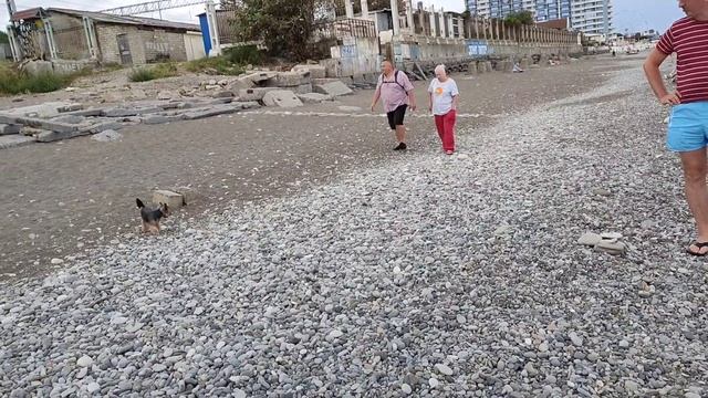 Влог ?Бакс в разборках ??на пляже Пасмурно, но вода ?как парное молоко Лазаревское2021 смотреть онлайн