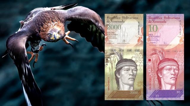 Банкноты Венесуэлы. Фауна на банкнотах // Коллекция банкнот