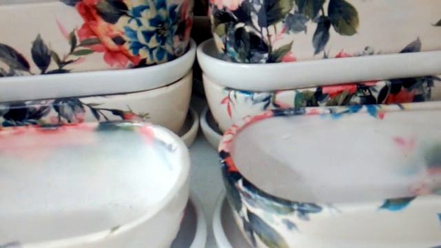 Кактусницы и красивые горшки для цветов смотреть онлайн