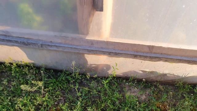 Как затенить теплицу от солнца быстро и просто. смотреть онлайн