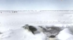 ПОЧЕМУ ВОДА НЕОБХОДИМА ДЛЯ НАШЕЙ ЖИЗНИ? (ДЛЯ ДЕТЕЙ)