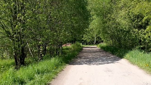 Дети. Дача. Настроение. смотреть онлайн