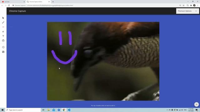 Chrome Capture - Capture, Edit and Share - Screenshots, Videos and GIFs смотреть онлайн