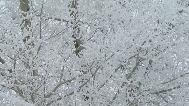 Кому ЖАРКО ? А у нас ЗИМА! смотреть онлайн