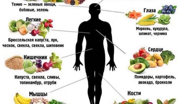 В здоровом теле здоровый дух 💪 смотреть онлайн