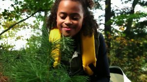 Смотрите в сети TELENET: 5 июня с 18:00 на канале Da Vinci "Всемирный день защиты окружающей среды"