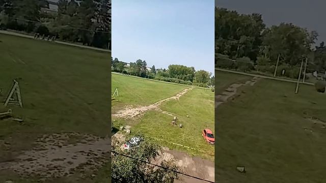 Сиреноголовый в лесу это правда сделайте звук на всю смотреть онлайн