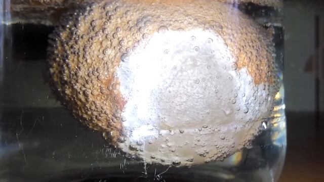 Что будет, если опустить ЯЙЦО В УКСУС? / ЯЙЦО В УКСУСЕ смотреть онлайн