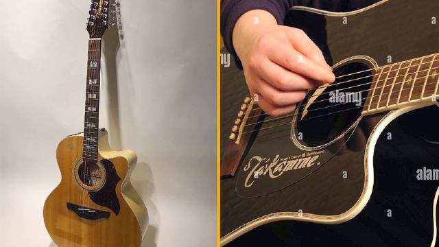 The Impact of Takamine G-Series on the Music Industry смотреть онлайн