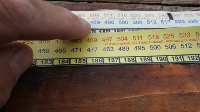 Какой лентой измерять бычков при продаже, чтобы не потерять деньги смотреть онлайн