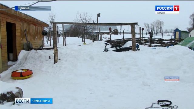 Суд назначил наказание хозяину двух собак, которые насмерть загрызли пожилую жительницу Цивильского смотреть онлайн