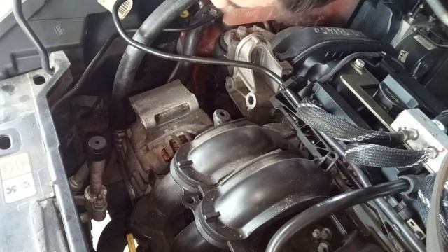 How to change the serpentine belt on Ford Fiesta mk 6 1.4 L petrol смотреть онлайн