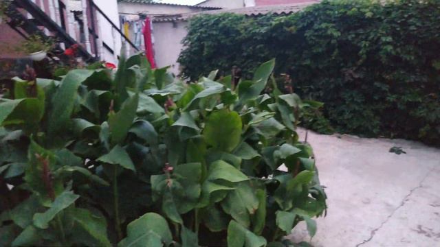 Отель в Николаевке/Отель Морской бриз/Территория отеля/#отельморскойбриз #отельвниколаевке #крым смотреть онлайн