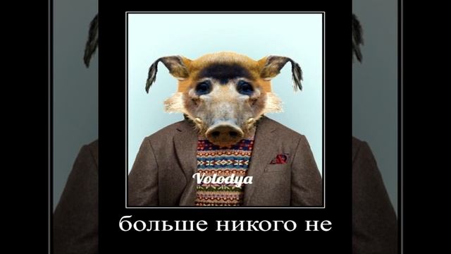 Мальчики простите... смотреть онлайн
