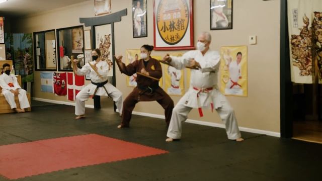 Sensei Nabil Noujaim to put on his 25th annual Okinawan Karate Camp смотреть онлайн