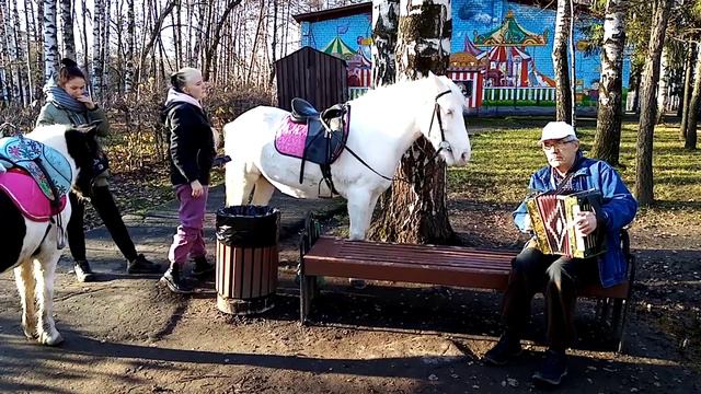 #гармонь#коньипонивпарке смотреть онлайн