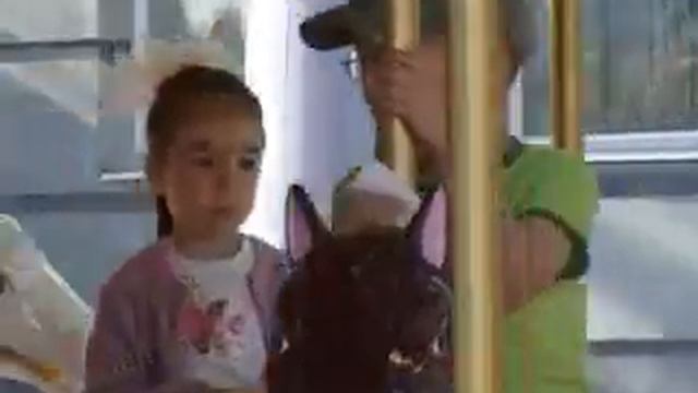 Карусель Шахерезада смотреть онлайн